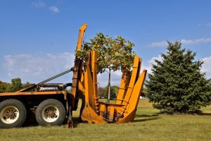 Tree and landscape services