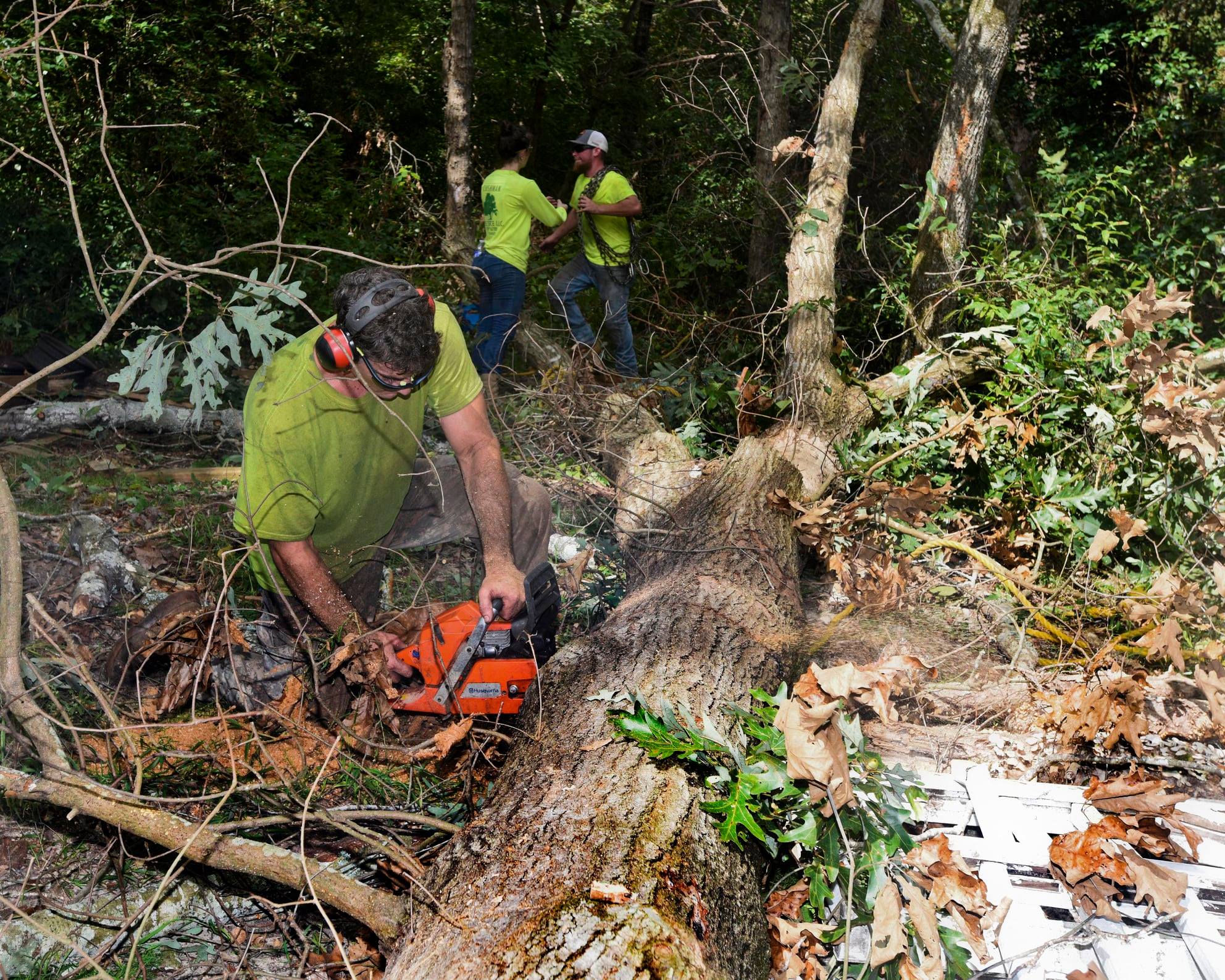 how-to-get-tree-sap-out-of-clothes-the-easy-way-to-remove-tree-sap