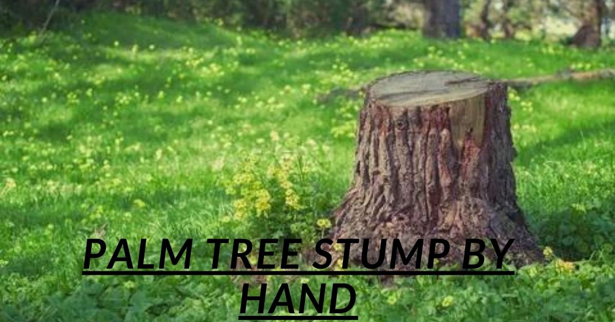 Palm Tree Stump by Hand