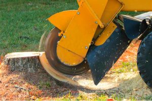 What is stump grinding?