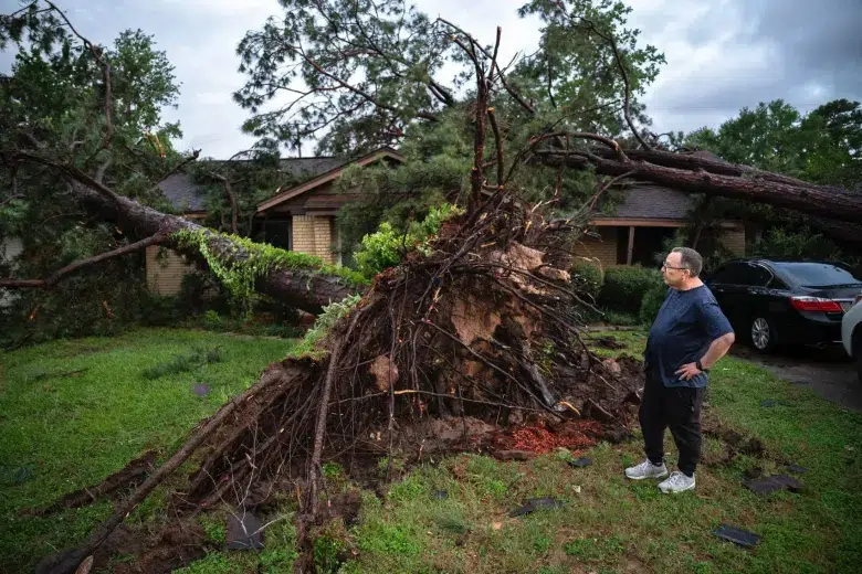 Storm damage tree removal