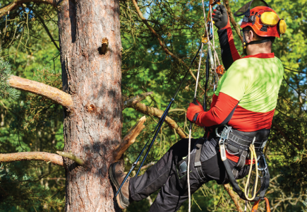 Tree chipping service